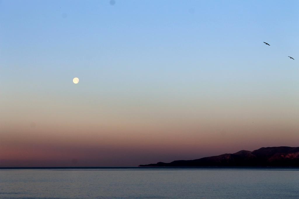 Il Vecchio E Il Mare Maratea住宿加早餐旅馆 外观 照片